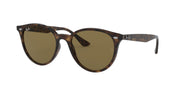 Ray-Ban RB4305 Sunglasses - Light Havana / Dark Brown / Standard - 8056597071604
