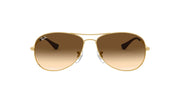 Ray-Ban Cockpit Aviator RB3362 Sunglasses - Default Title - 805289275251