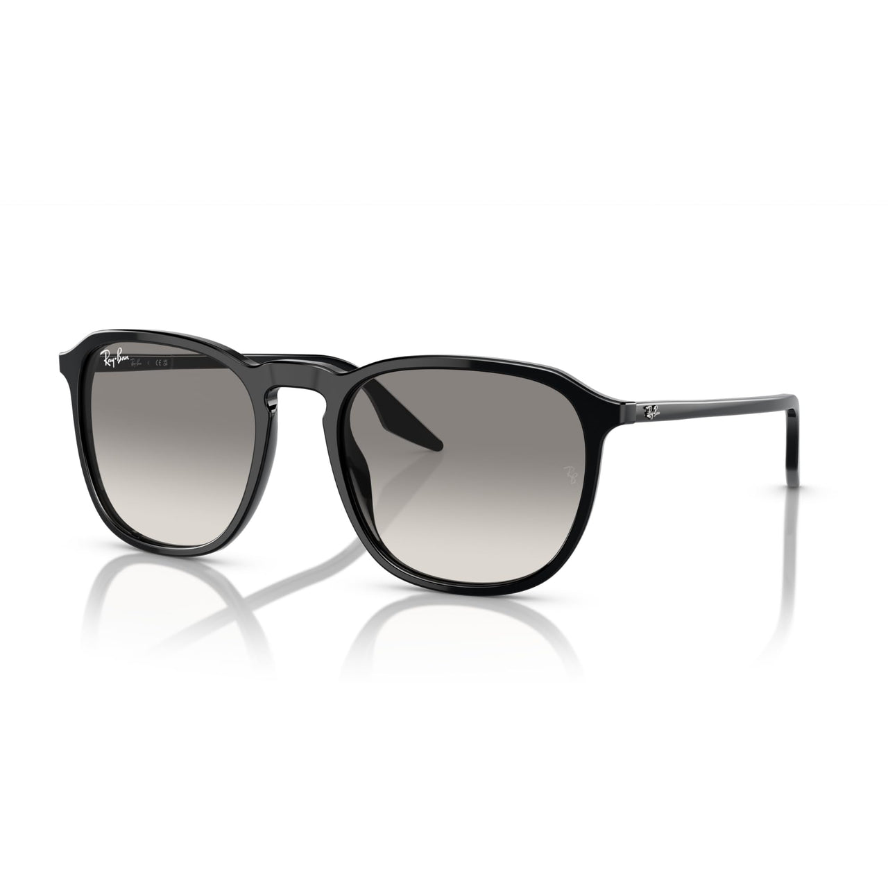 Ray-Ban RB2203 Sunglasses - Black / Light Grey / Small - 8056597936453