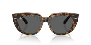 Havana on Transparent Brown/Dark Grey