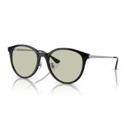 Ray-Ban RB4334D Sunglasses - Black / Green / Standard - 8056597846103