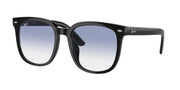Ray-Ban RB4401D Sunglasses - Default Title - 8056597846059