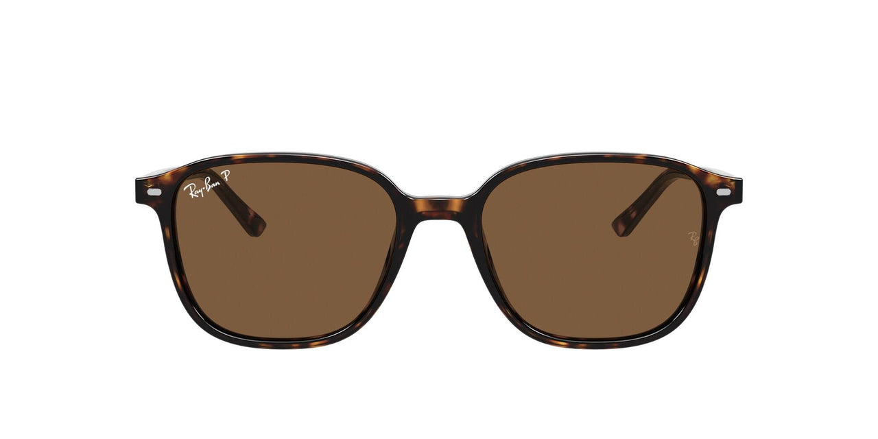 Ray-Ban Leonard RB2193 Sunglasses - Havana/B-15 Brown / 55 mm - 8056597847124