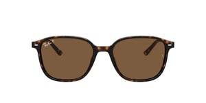 Havana/B-15 Brown