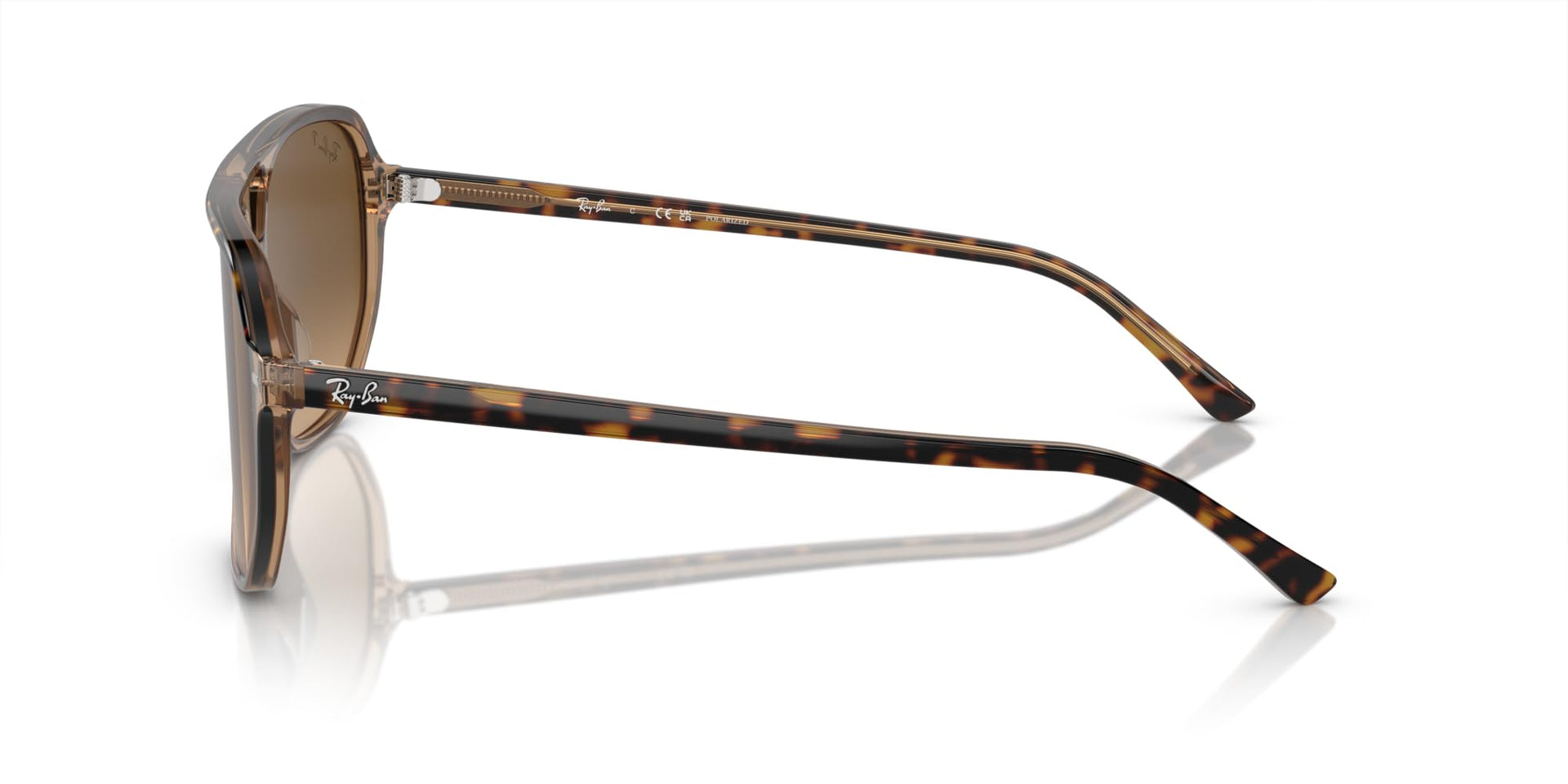 Ray-Ban Bill One RB2205 Sunglasses - Havana on Transparent Brown/Brown Gradient Polarized / 60 mm - 8056597936156 - Additional Image 2