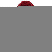 Beanie not visible; solid gray background