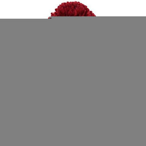 Chili
