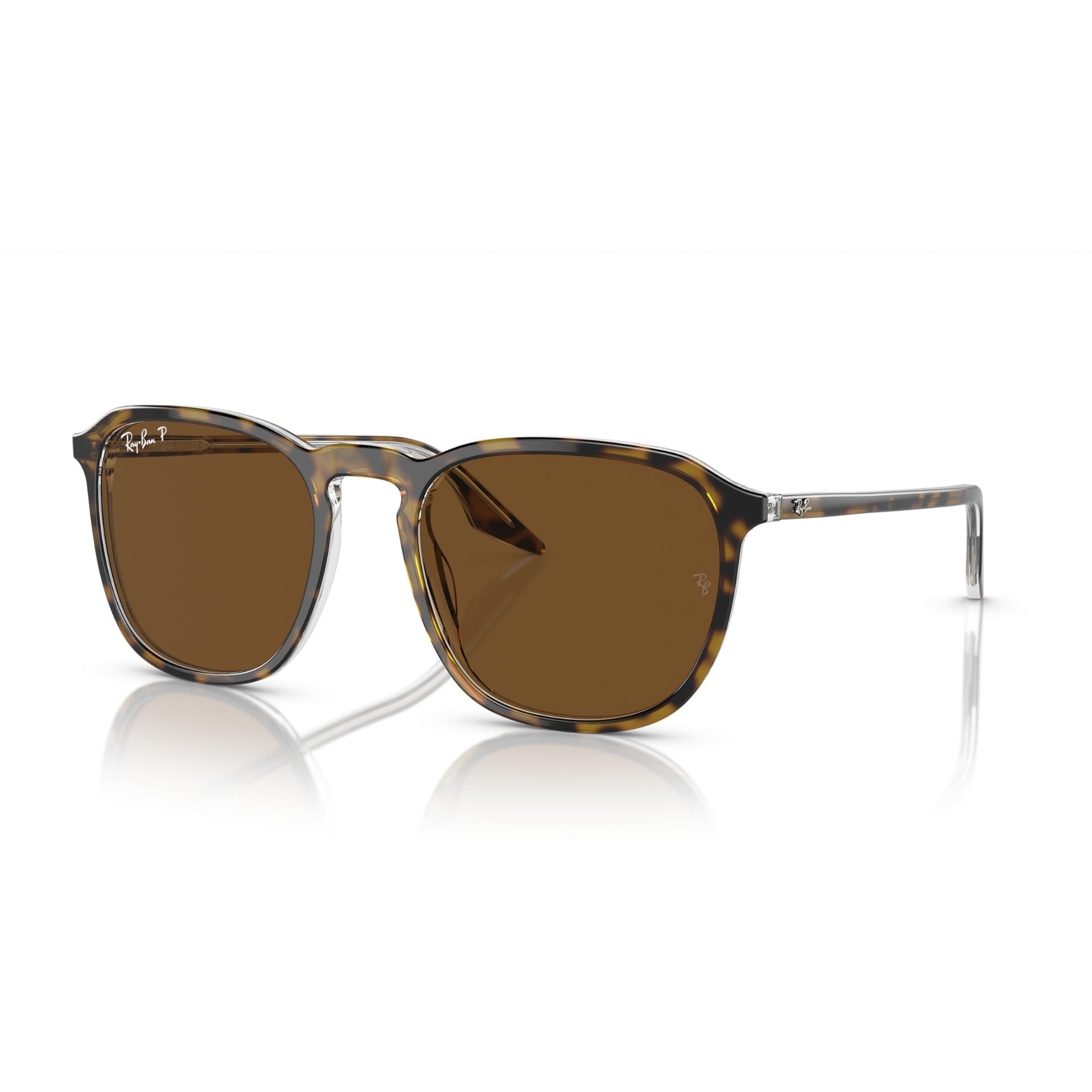 Ray-Ban RB2203 Sunglasses - Havana / B-15 Brown / Large - 8056597936422