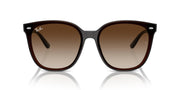 Ray-Ban RB4423D Sunglasses - Transparent Brown/Gradient Brown / 66 mm - 8056262051641