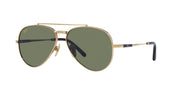 Ray-Ban Aviator Titanium RB8225 Sunglasses - Gold/Green / 58 mm - X0037J9LMF - Additional Image 1