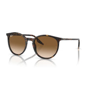 Ray-Ban Havana On RB2204 Sunglasses - Havana / Light Brown / Large - 8056597936569