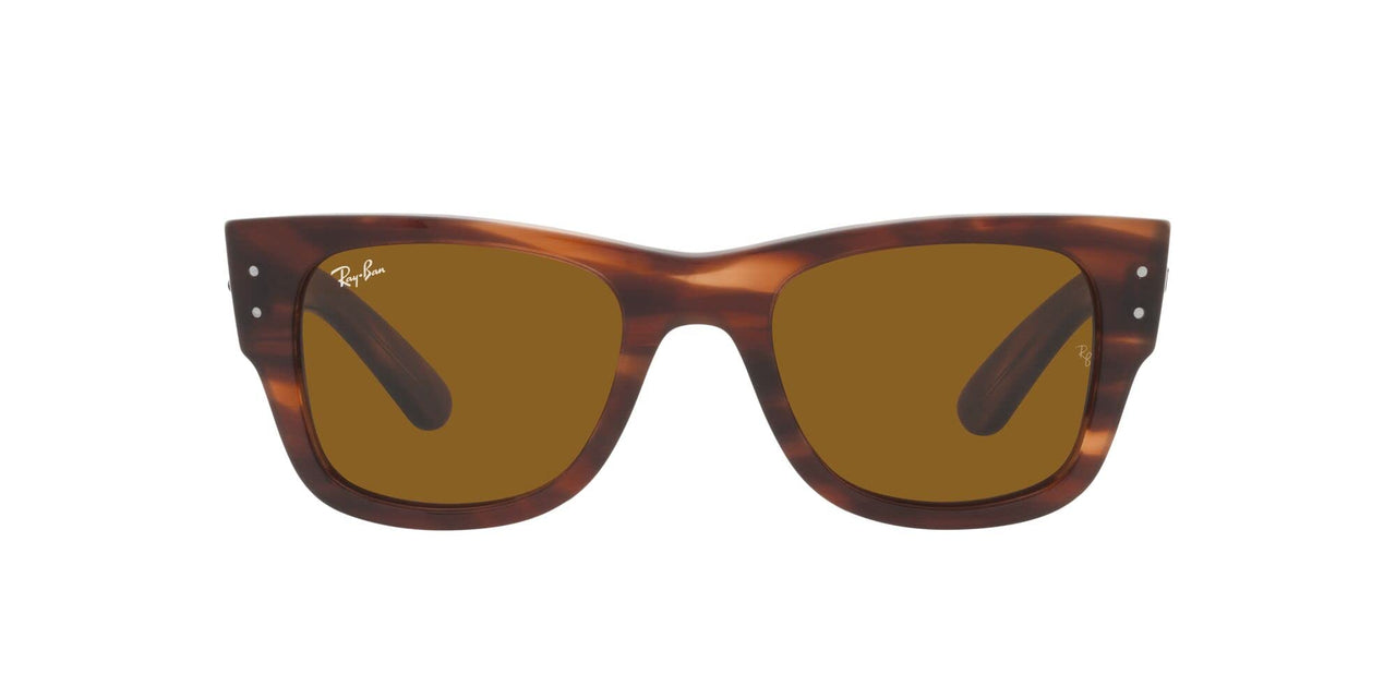 Ray-Ban Mega Wayfarer RB0840S Sunglasses - Striped Havana/Brown / 51 mm - 8056597720694