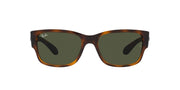 Ray-Ban RB4388 Sunglasses - Havana/Green / 55 mm - 8056597719421