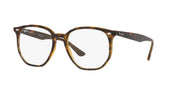 Sunglasses with tortoiseshell frame and clear lenses, rounded hexagonal shape.