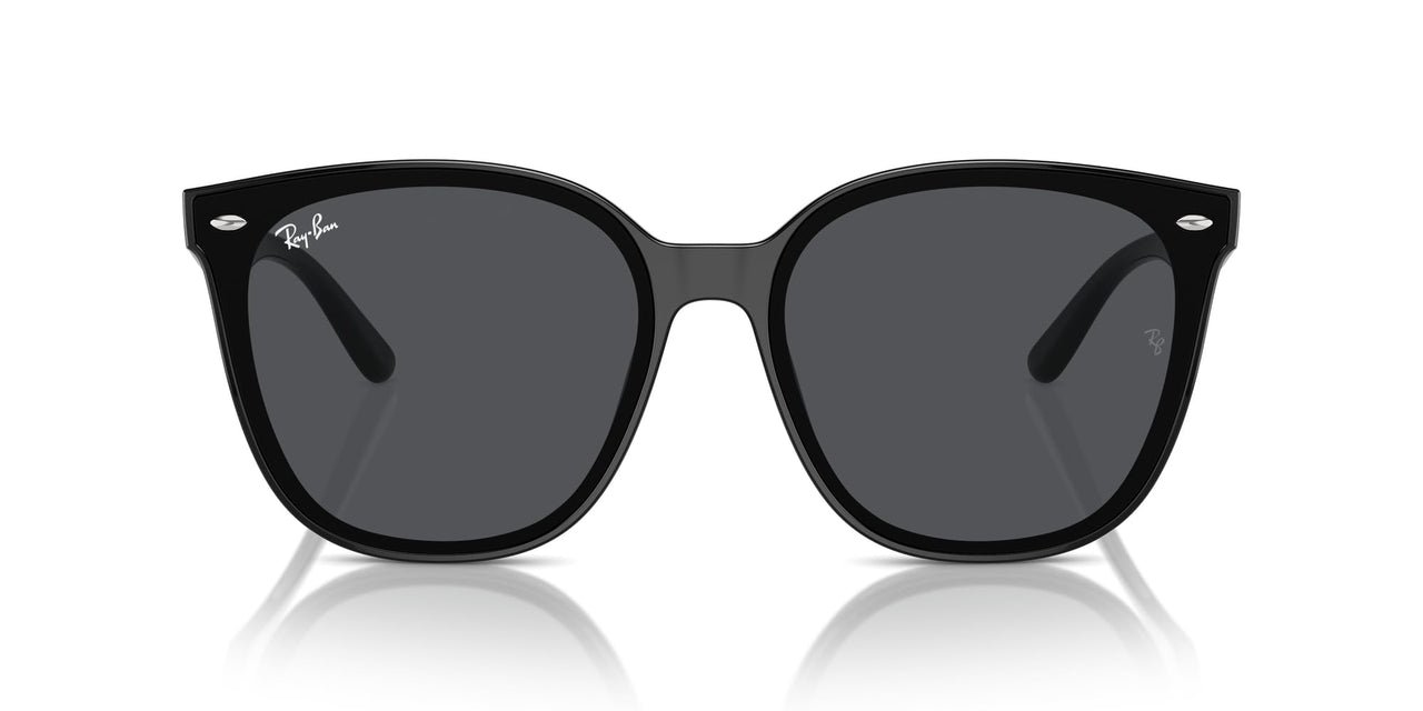 Ray-Ban RB4423D Sunglasses - Black/Dark Grey / 66 mm - 8056262051603
