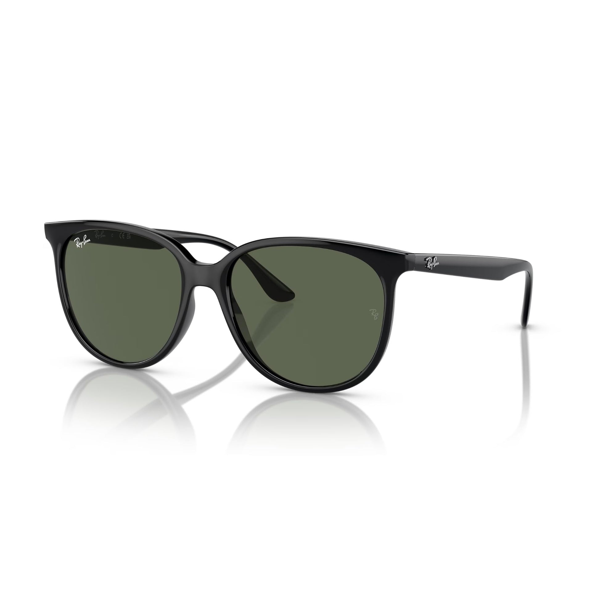 Ray-Ban RB4378F Sunglasses - Black / Small - 8056597861304