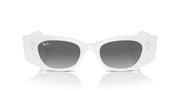 Ray-Ban Kat RB4427 Sunglasses - White/Grey Gradient / 49 mm - 8056262014493