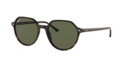 Ray-Ban Thalia RB2195 Sunglasses - Havana/Green / 53 mm - 8056597364041