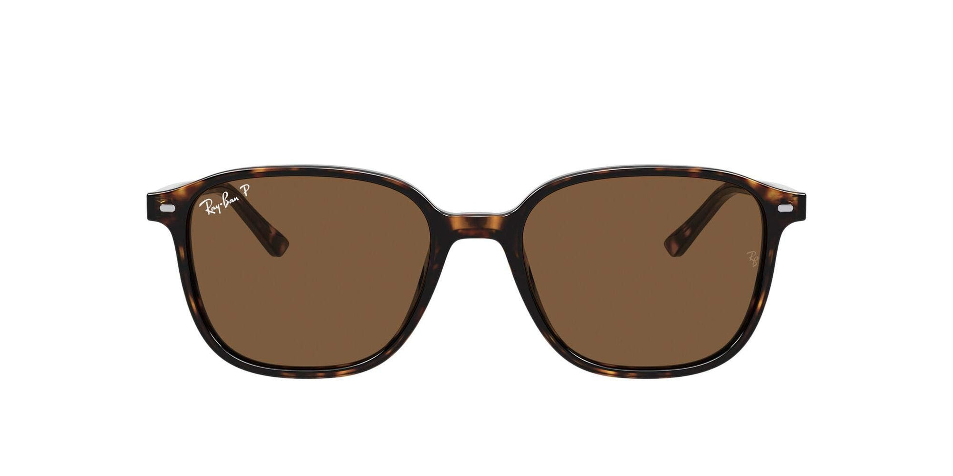 Ray-Ban Leonard RB2193 Sunglasses - Tortoise/Polarized B-15 Brown / 53 mm - 8056597318044