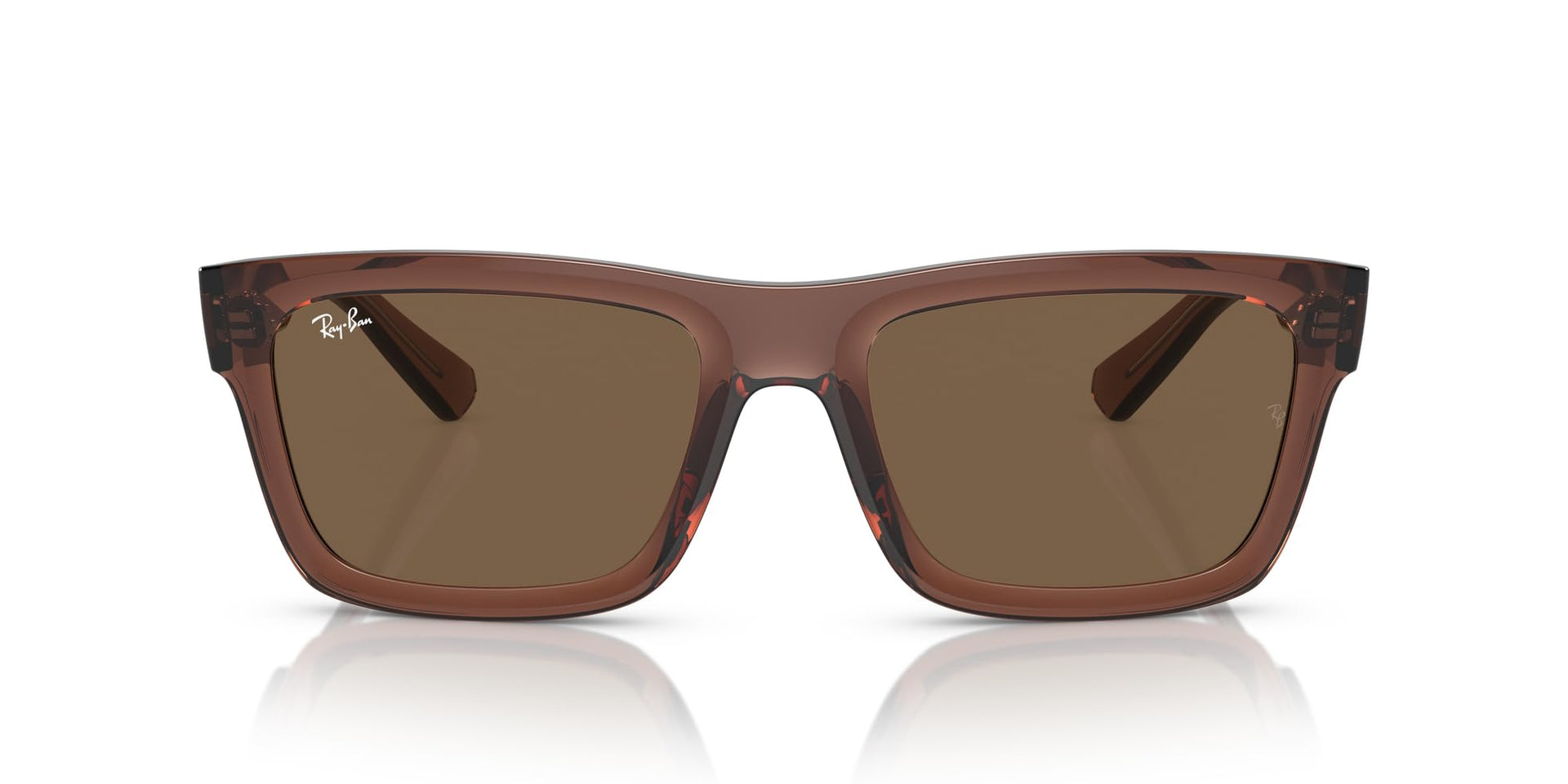 Ray-Ban Warren RB4396 Sunglasses - Transparent Brown/Dark Brown / 54 mm - 8056262052174
