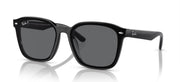 Ray-Ban RB4392D Sunglasses - Default Title - 8056597953498