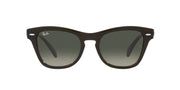 Ray-Ban RB0707S Sunglasses - Transparent Olive Green/Grey Gradient / 50 mm - 8056597720373
