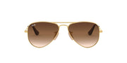 Ray-Ban Metal Aviator RJ9506S Sunglasses - Arista/Brown Gradient Dark Brown / 52 mm - 8053672835236