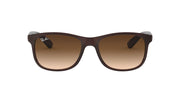 Ray-Ban Andy RB4202 Sunglasses - Brown / Medium - 8053672188905 - Additional Image 2