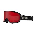 Giro Roam Snow Goggles