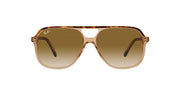 Ray-Ban Bill RB2198 Sunglasses - Havana on Transparent Brown/Clear Gradient Brown / 60 mm - 8056597529662