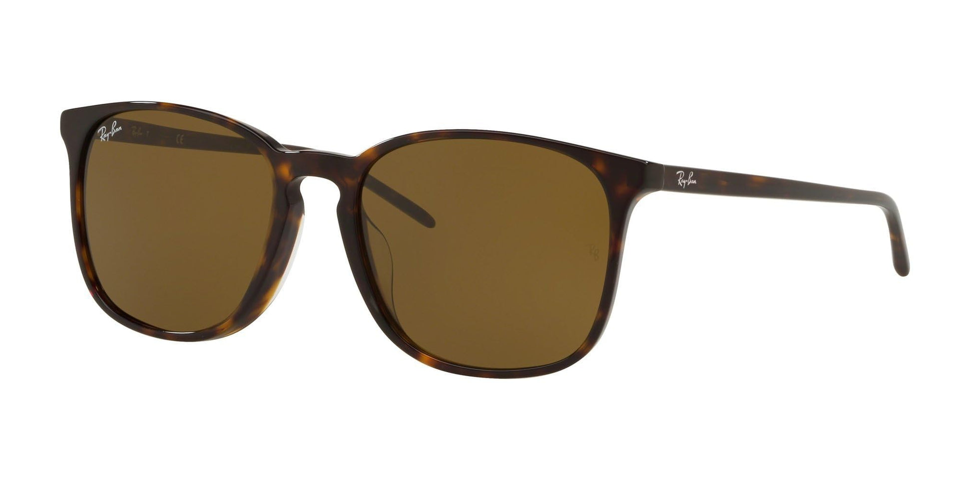Ray-Ban RB4387F Sunglasses - Default Title - 8053672990775