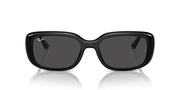 Ray-Ban RB4421D Sunglasses - Black/Dark Grey / 56 mm - 8056262080955