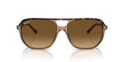 Ray-Ban Bill One RB2205 Sunglasses - Havana on Transparent Brown/Brown Gradient Polarized / 60 mm - 8056597936156