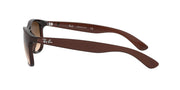 Ray-Ban Andy RB4202 Sunglasses - Brown / Medium - 8053672188905 - Additional Image 1