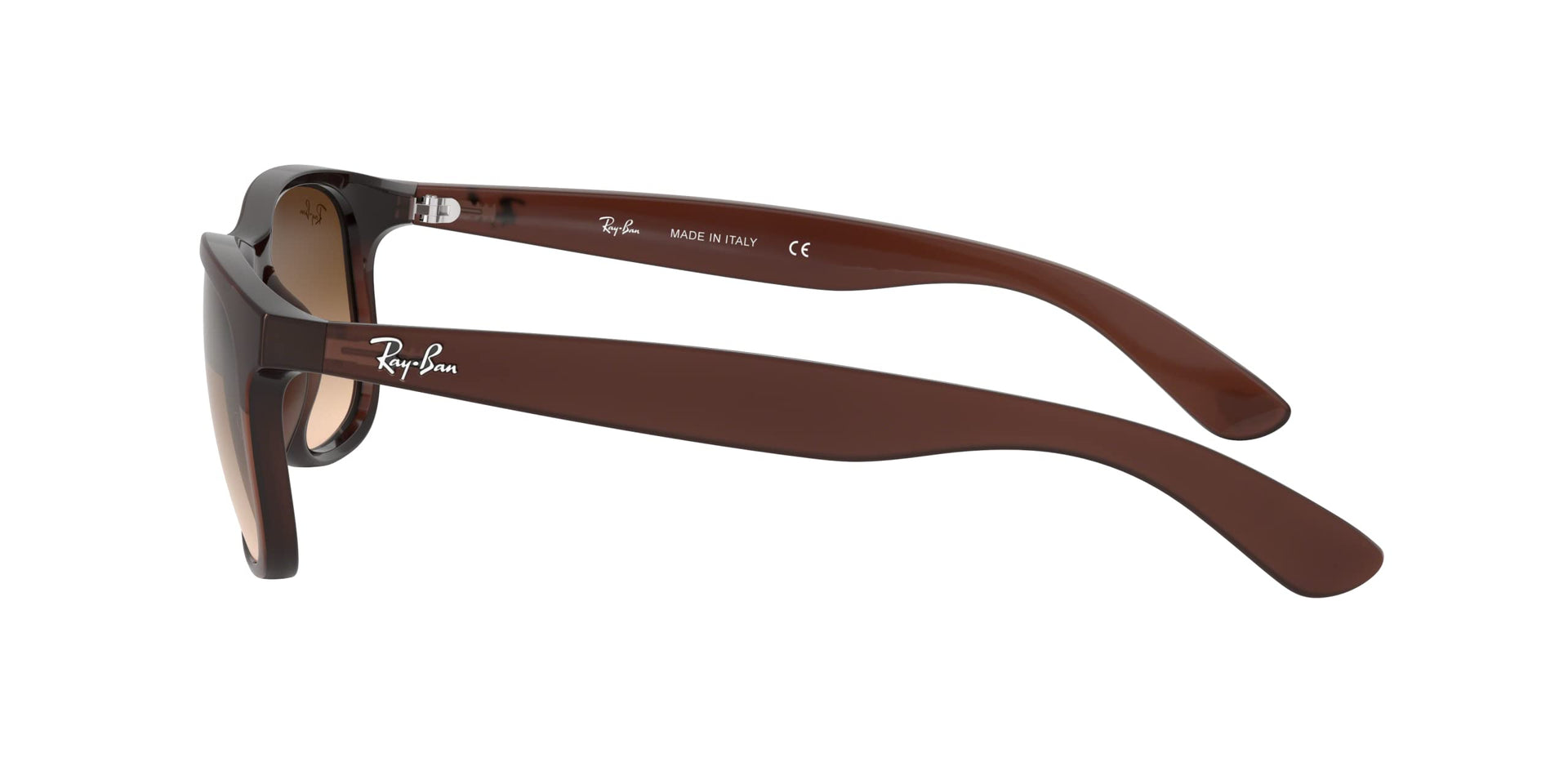 Ray-Ban Andy RB4202 Sunglasses - Brown / Medium - 8053672188905 - Additional Image 1