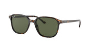Ray-Ban Leonard RB2193 Sunglasses - Tortoise/G-15 Green / 51 mm - 8056597317917