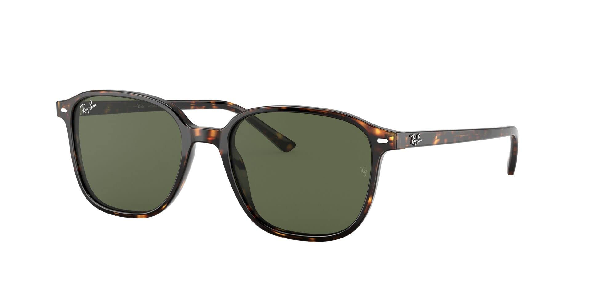 Ray-Ban Leonard RB2193 Sunglasses - Tortoise/G-15 Green / 53 mm - 8056597317924