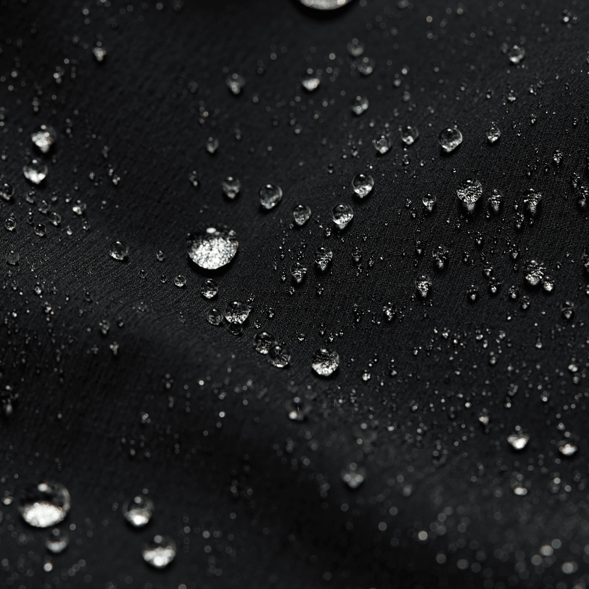 Women's Ambient Jacket