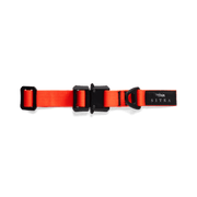 Sitka Dog Collar