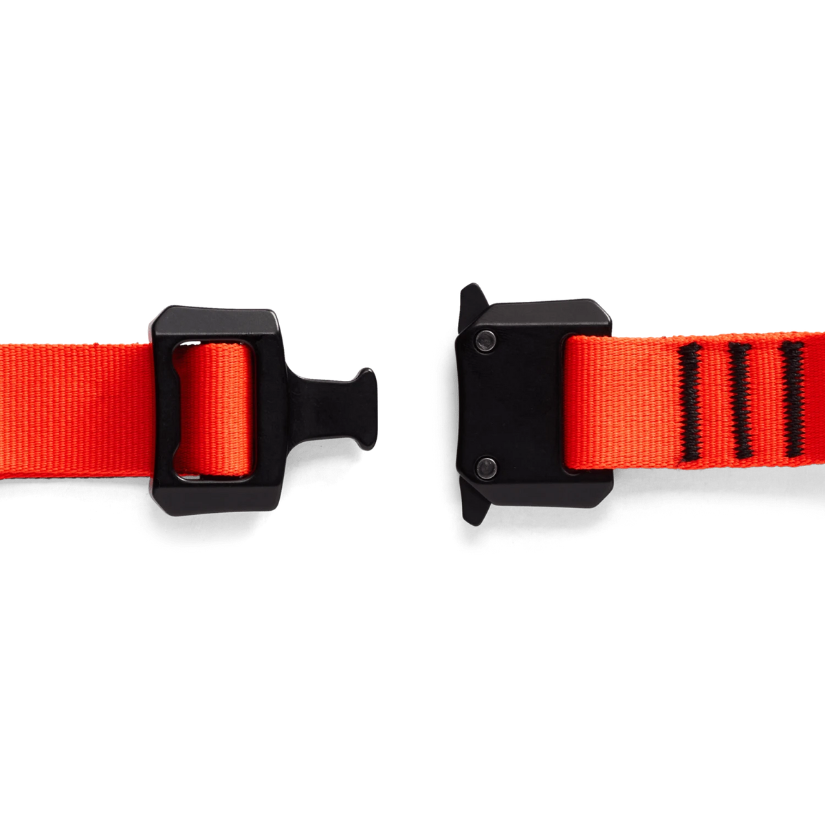 Sitka Dog Collar
