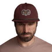 Species Unstructured Snapback