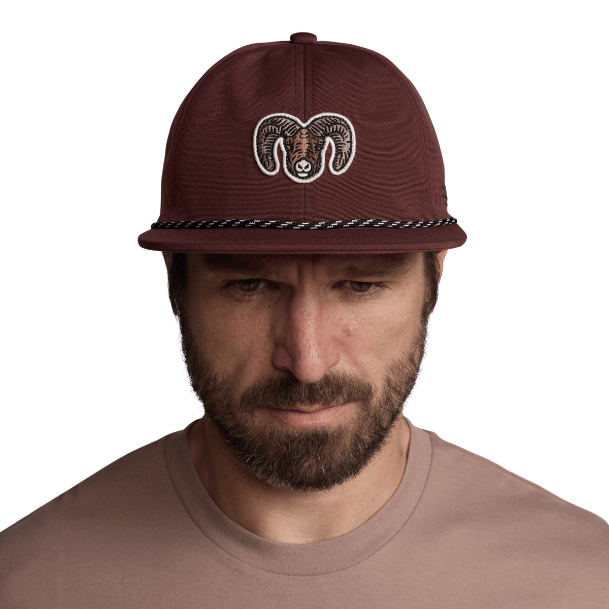 Species Unstructured Snapback