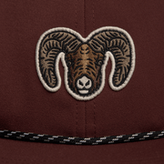 Species Unstructured Snapback