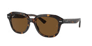 Ray-Ban Erik Low Bridge Fit RB4398F Sunglasses - Havana/Polarized Brown / 53 mm - 8056597852029