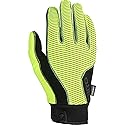 Giro Blaze 2.0 Winter Glove