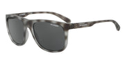 Arnette 4235 Sunglasses - Default Title - 888392275875