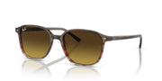 Ray-Ban Leonard RB2193 Sunglasses - Multi / One Size - 8056597855945