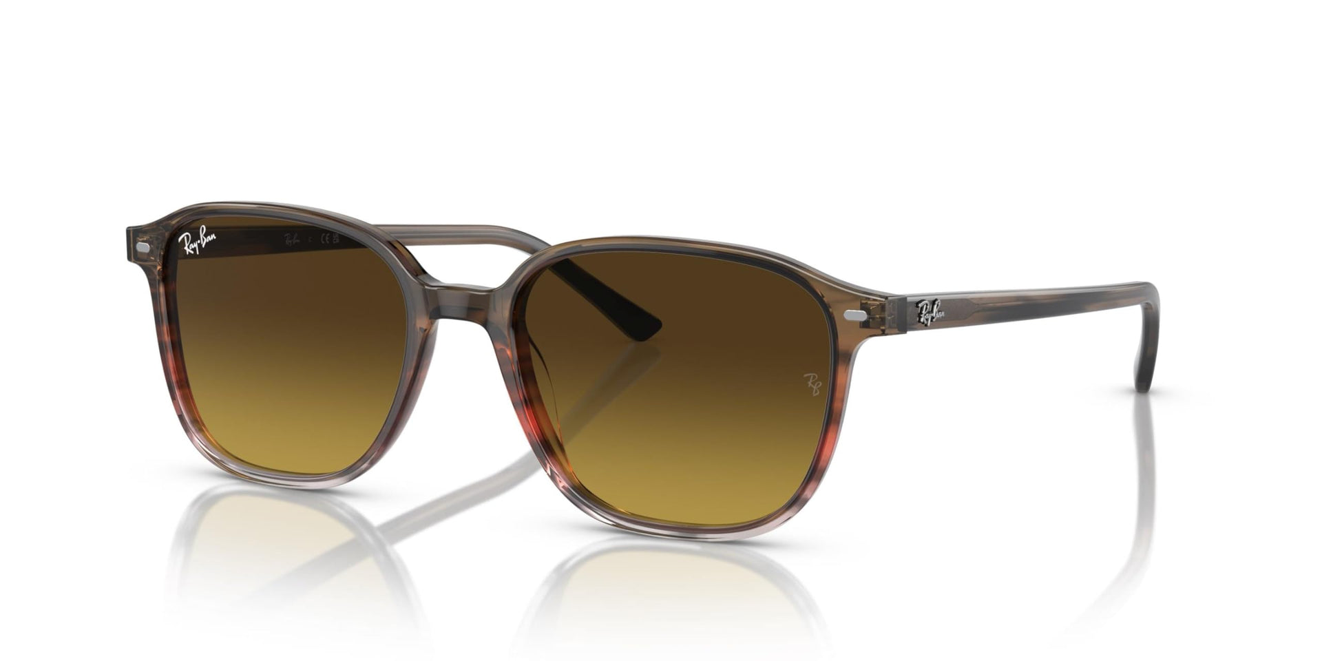 Ray-Ban Leonard RB2193 Sunglasses - Multi / One Size - 8056597855945