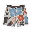 Quiksilver Dryflight 19 Boardshorts