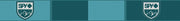 SPY goggle strap in teal with SPY+ logos, patterned webbing